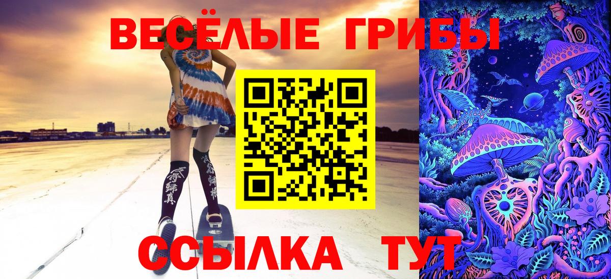 Галлюциногенные грибы GOLDEN TEACHER  Псилоцибиновые грибы GOLDEN TEACHER  где можно купить наркотик  Златоуст  Вход с VPN 